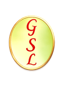 GeoSoft Logo