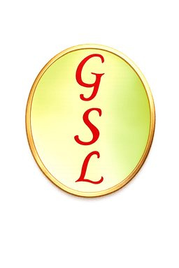 GeoSoft Logo